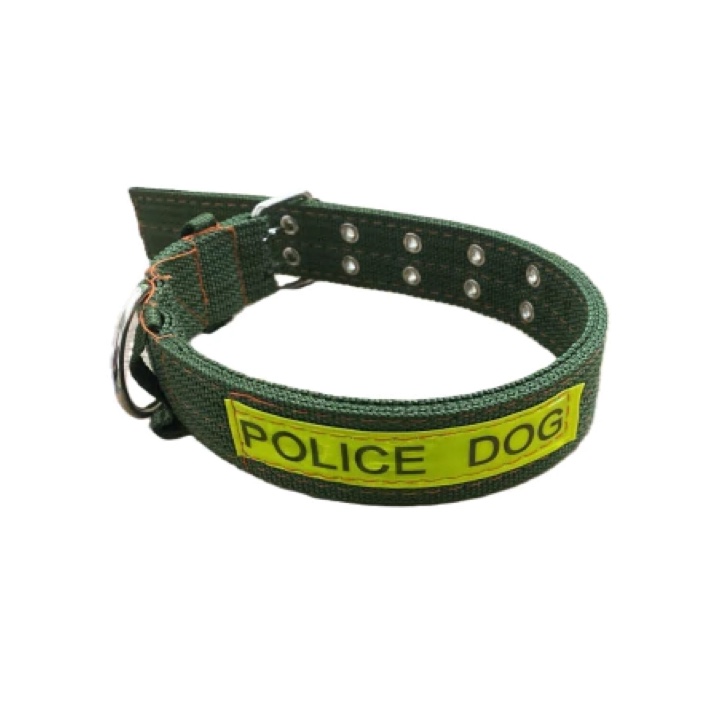 Collar police dog