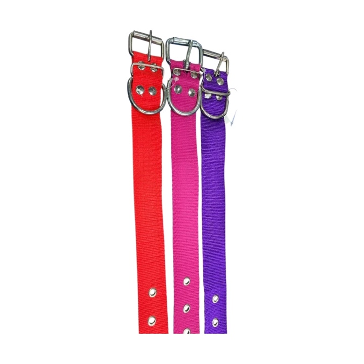 Collar talle especial