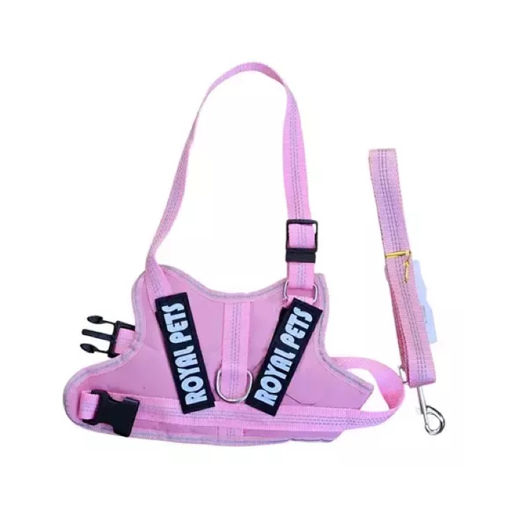 Conjunto correa y pechera royal pets