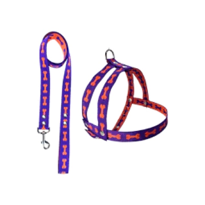 Conjunto fijo fantasía