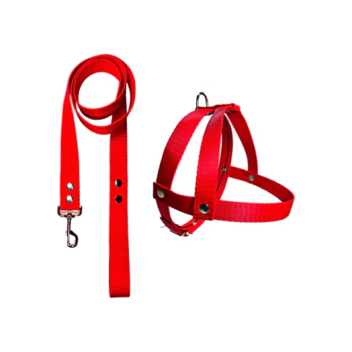 Conjunto fijo