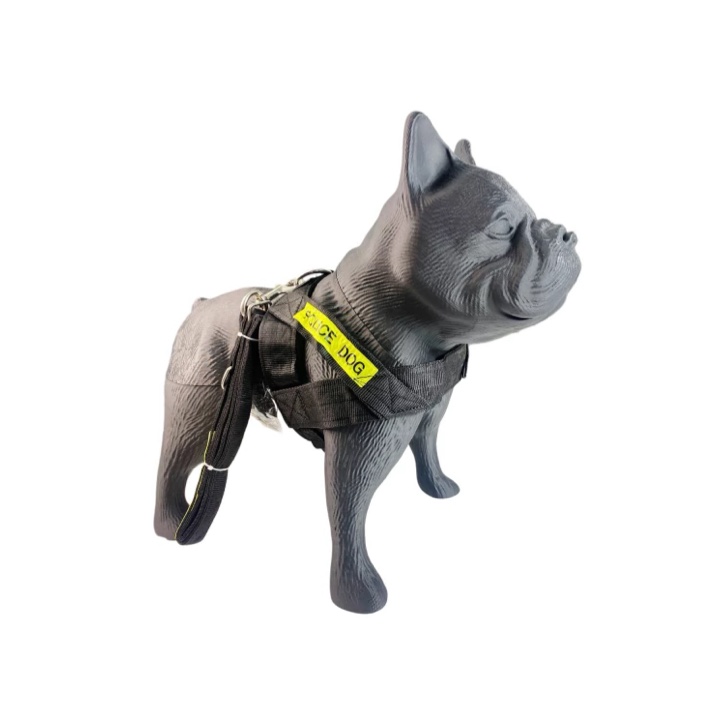 Conjunto Police Dog