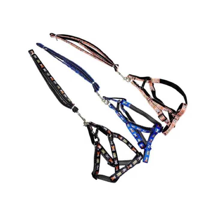 Conjunto Regulable fantasía