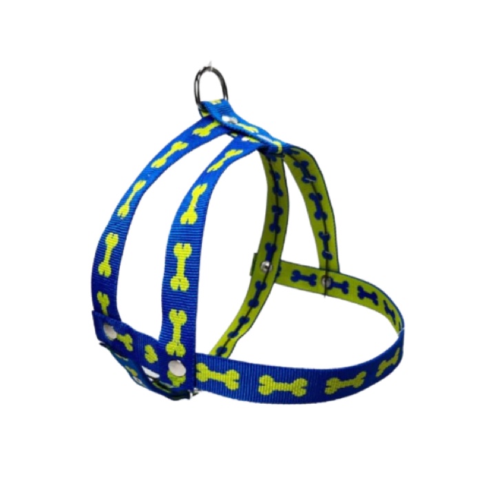 Pechera fija fantasía