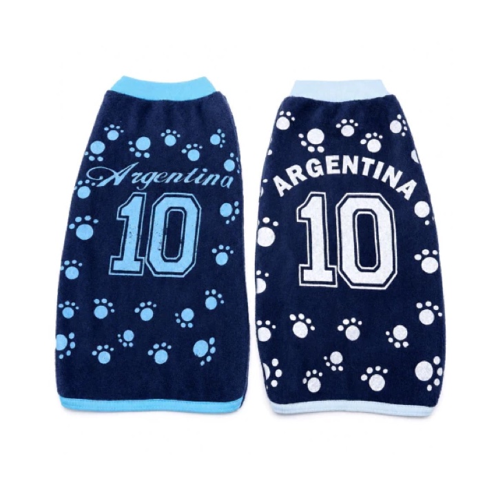 Polar estampado ARGENTINA CAMISETA SUPLENTE