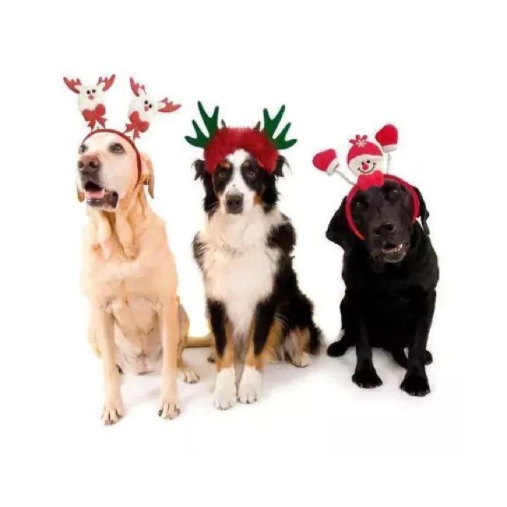 Vinchas Navideñas Para Mascota
